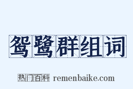 鸳鹭群组词是什么意思的图片